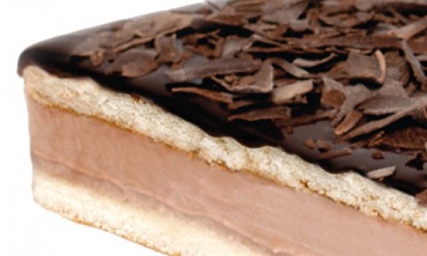 PLANCHA SELVA NEGRA1.jpg