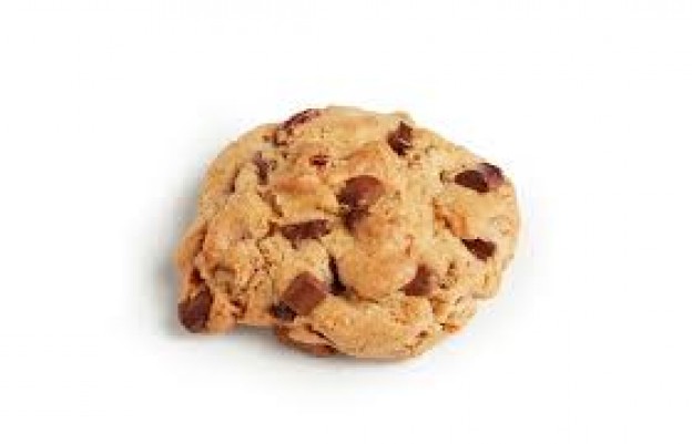 cookieny puck pecan.jpg