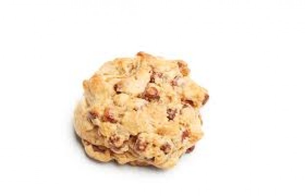 cookie NY double puck.jpg